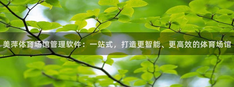 必一体育网页版登录：