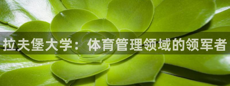 必一体育运动下载
