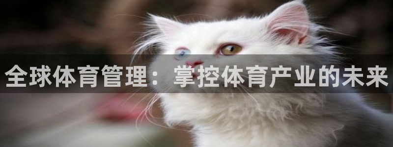 必一体育运动平台官网