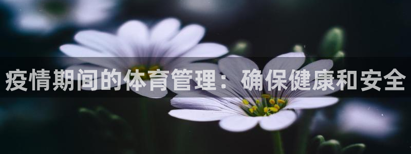 Bsport体育必一