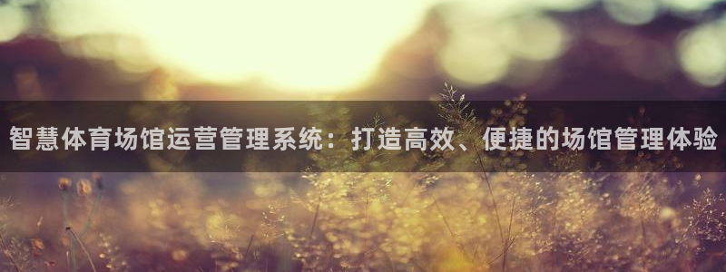 必一体育在线玩
