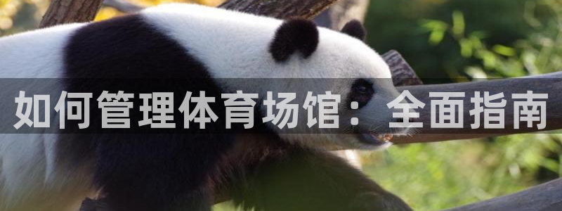 必一体育网页登录版官