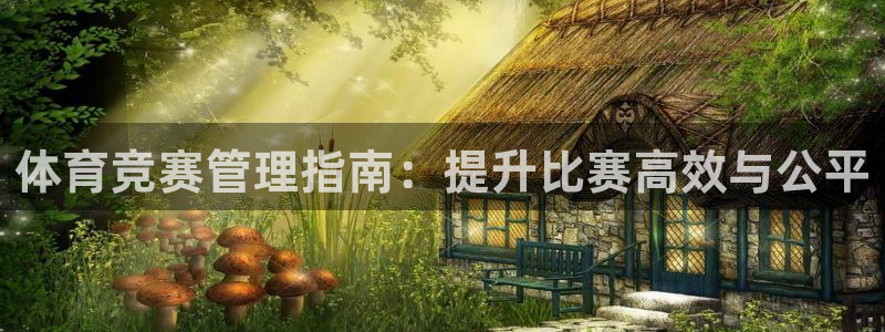 必一体育sport：