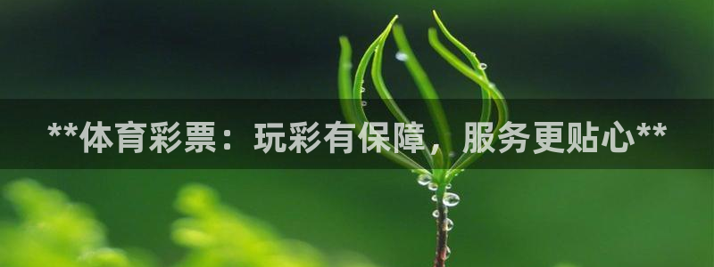 必一体育sport官方网站