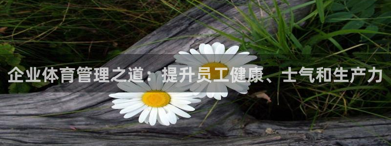 必一体育登录入口
