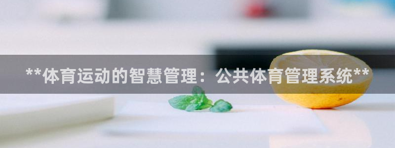 必一运动体
