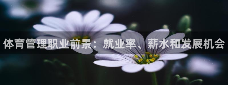 必一体育周公：体育管