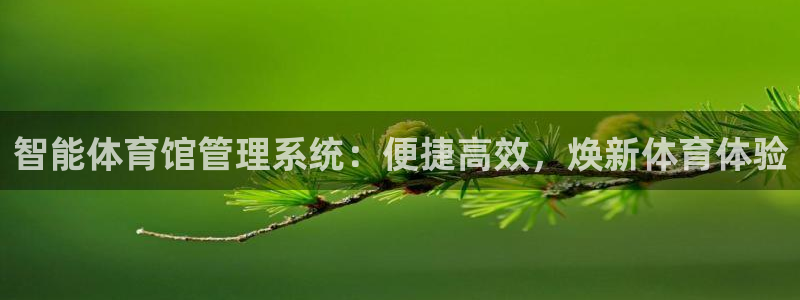 必一体育官网网址