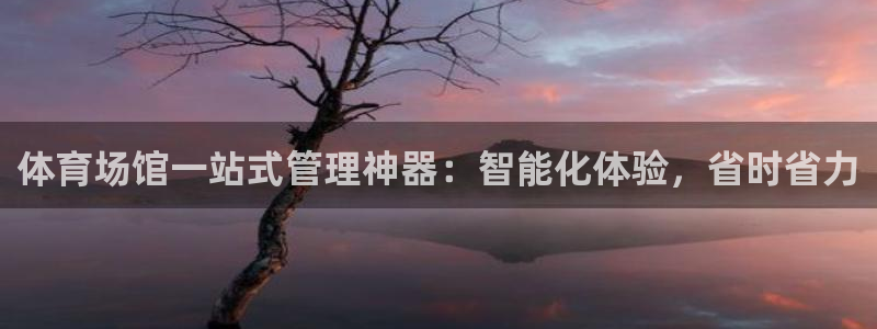 必一运动听的歌：体育