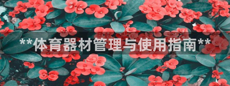 必一体育sport