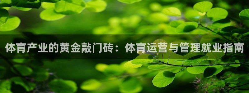 必一体育下载秀给网