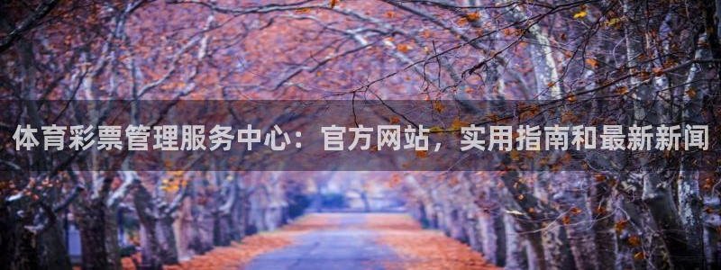 必一体育官方下载入口