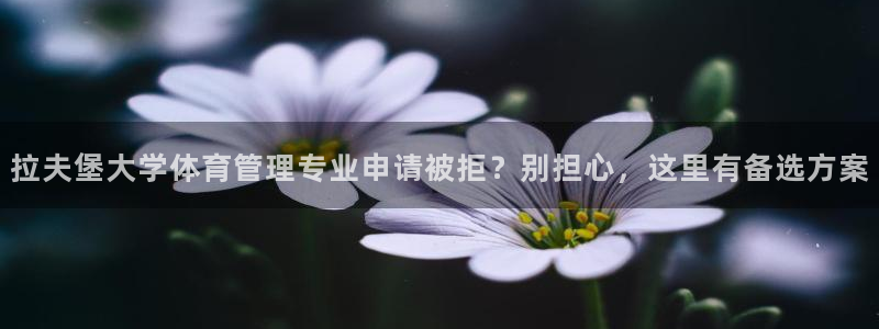 必一体育在线玩：拉夫