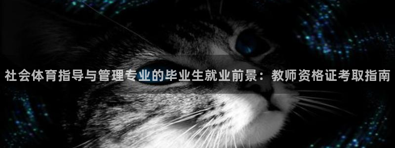必一体育app官方正