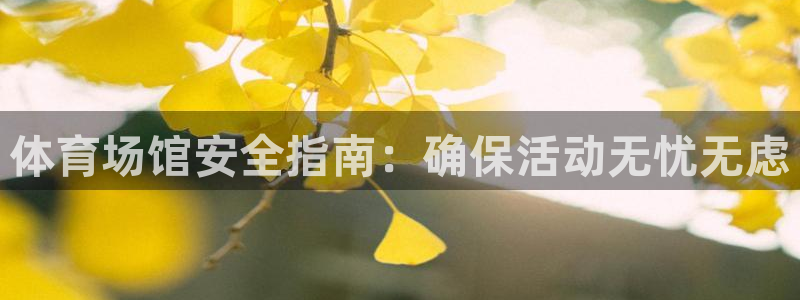 必一体育手机下载：体