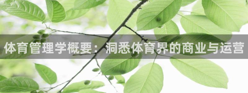 必一体育可靠吗：体育