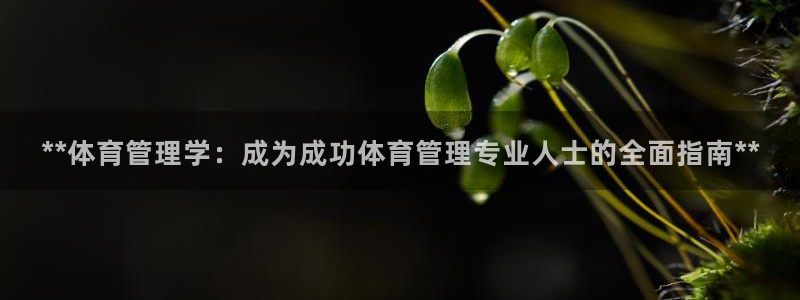 b体育必一下载：**