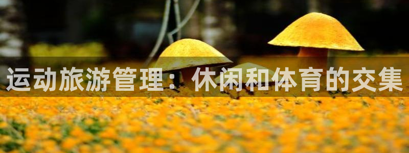 氵必一一厂一