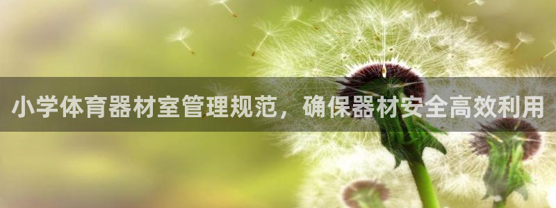 必一运动体育官网下载