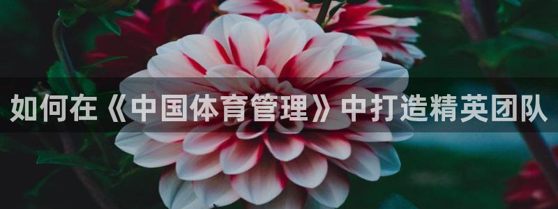 必一体育在线登录