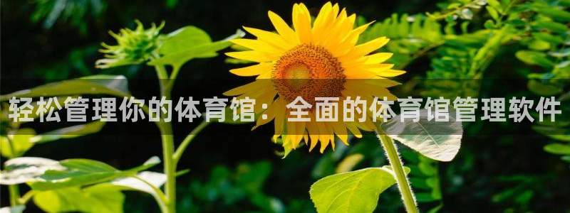 必一运动·(b-sports)官方网站