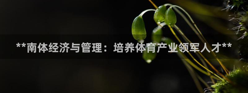 必一体育官方入口：*