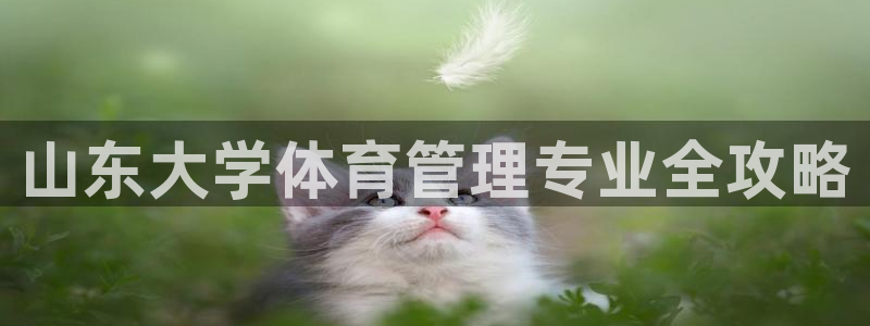 必一体育官方app下载