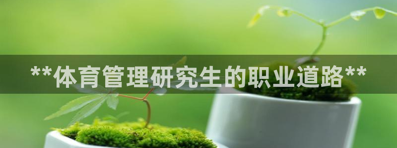 必一体育网站：**体