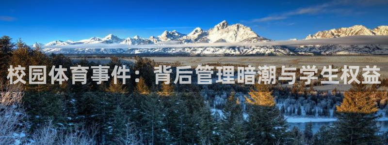 必一体育bsport下载