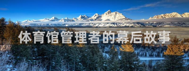 必一体育app下载