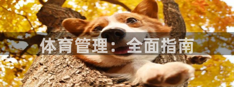 必一体育下载义：体育