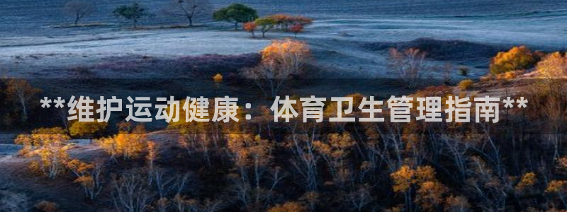 必一体育sport官方网站