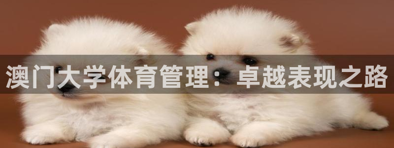 必一体育app官方