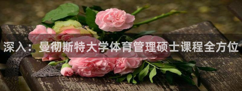 必一运动·体育：深入