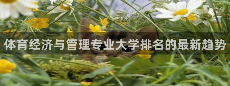 必一体育app下载最新版本