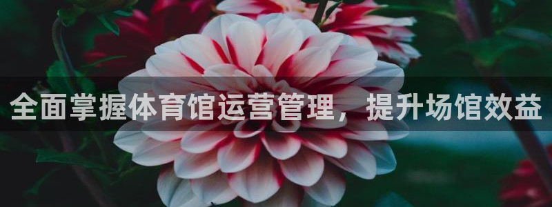 必一体育bsport下载