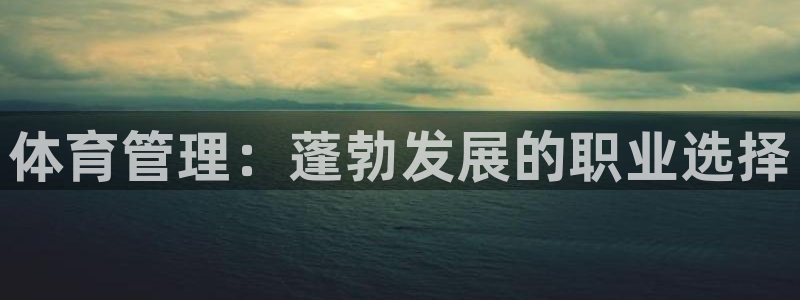 必一体育黑平台