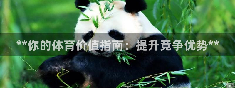 必一运动官网装机吧