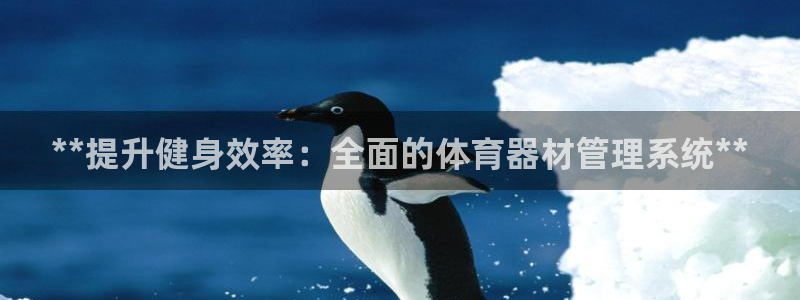 必一体育最新官网入口