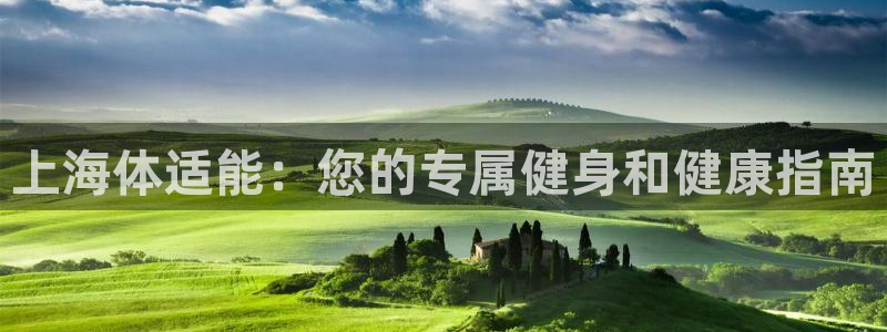 必一体育app官方网