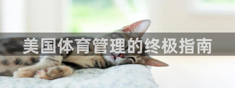 必一体育下载意思：美