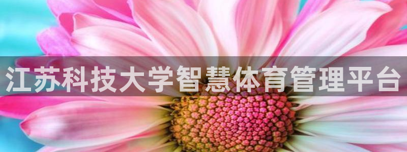 必一体育APP：江苏