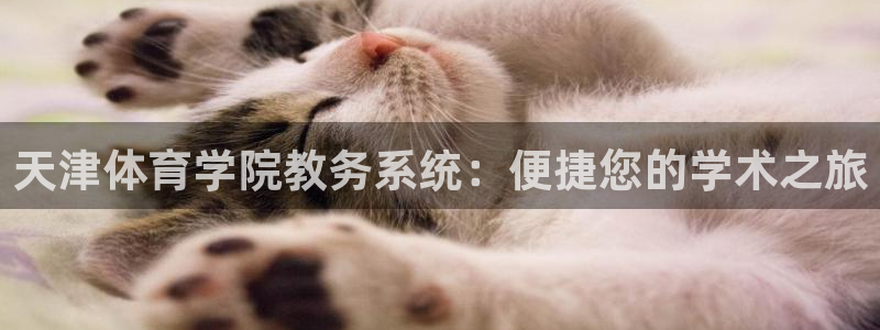 必一体育皮尔斯