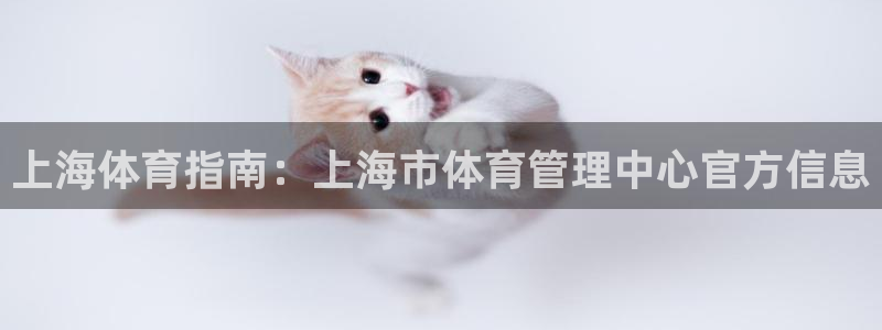 必一体育是啥：上海体