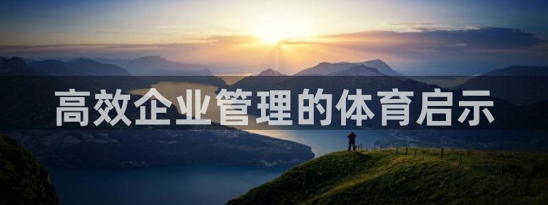 必一体育sport网页版