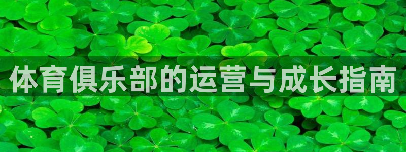 必一体育在线登陆