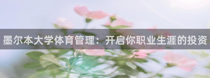 必一体育没了