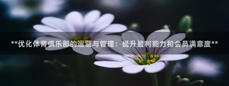 必一运动体育app：