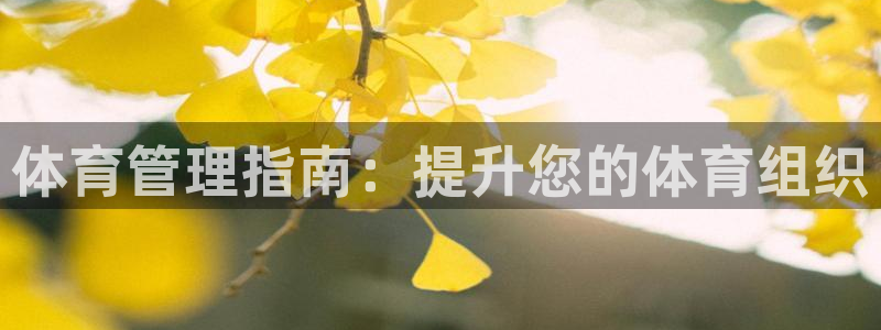 必一体育下载app下载