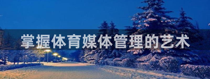 必一体育没了：掌握体